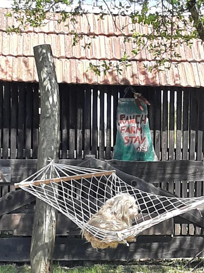 Ranch Farm Stay Rakovica Dış mekan fotoğraf